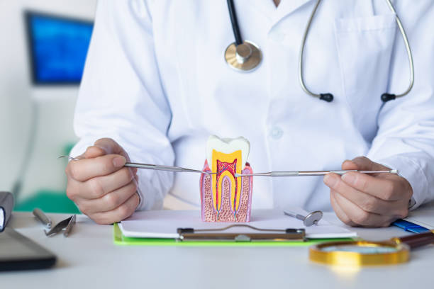 Best Holiday Emergency Dentist in Sparks, TX